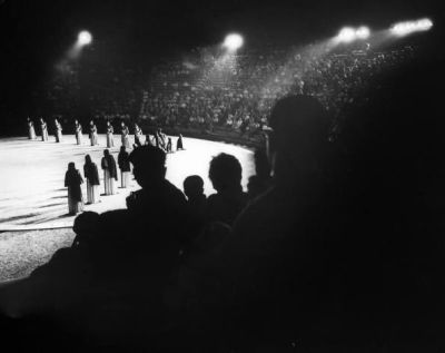 SafariScreenSnapz004