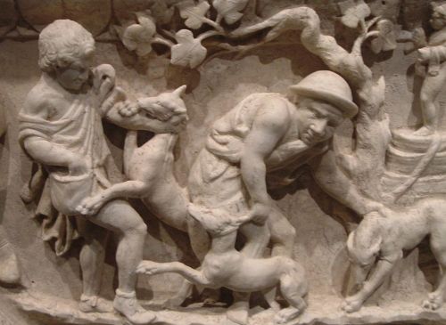 SafariScreenSnapz003