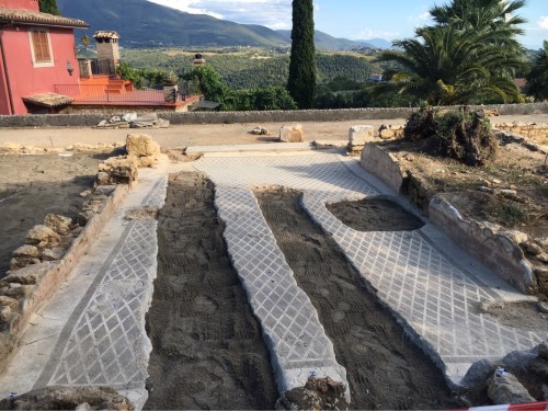 Mosaic floor with agricultural cuts